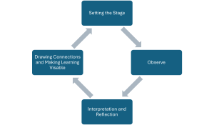 cycle of observation