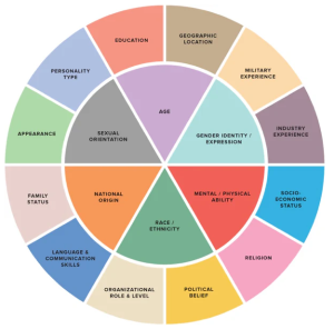 diversity and areas of bias