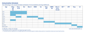 Photo of an immunization schedule