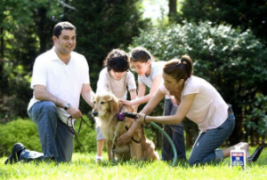 Family gathered around a golden retreiver giving it a bath with a a hose.