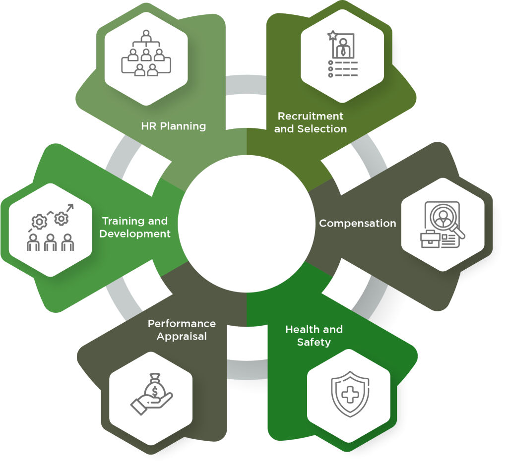 the ways job analysis supports HR: training and development, performance appraisal, health and safety, HR planning, compensation and recruitment and selection