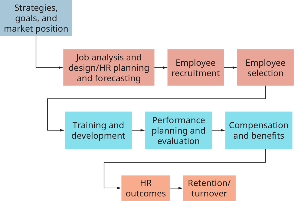 A flowchart image outlining the steps in the human resource recruitment and selection process. See image description below