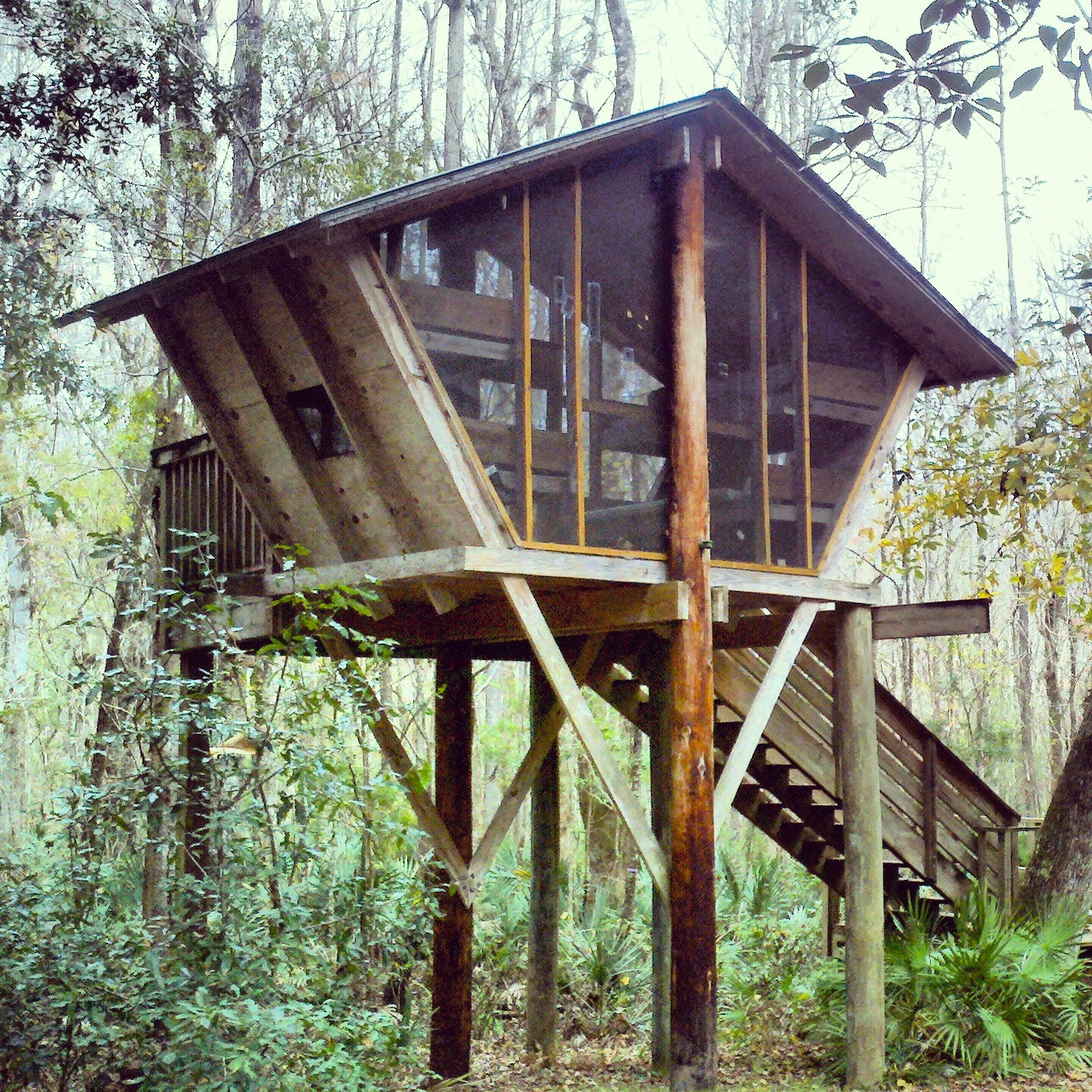 A luxury treehouse cabin in the woods with a large glass window.