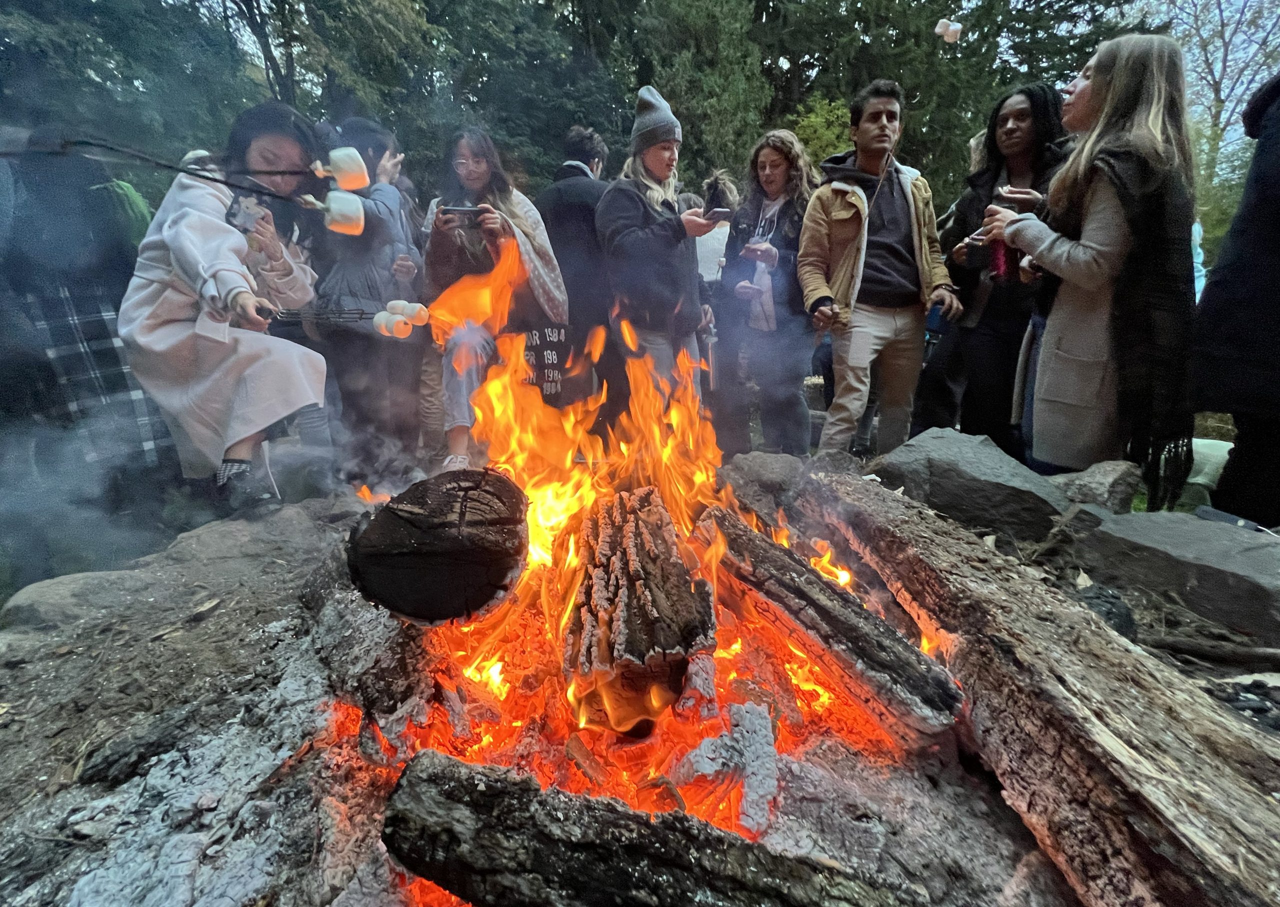 Students roasting marshmallows in front of a campfire.