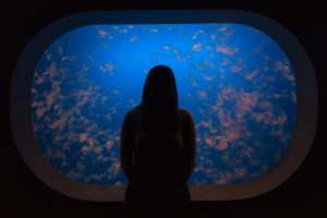 Someone looking into an aquarium.