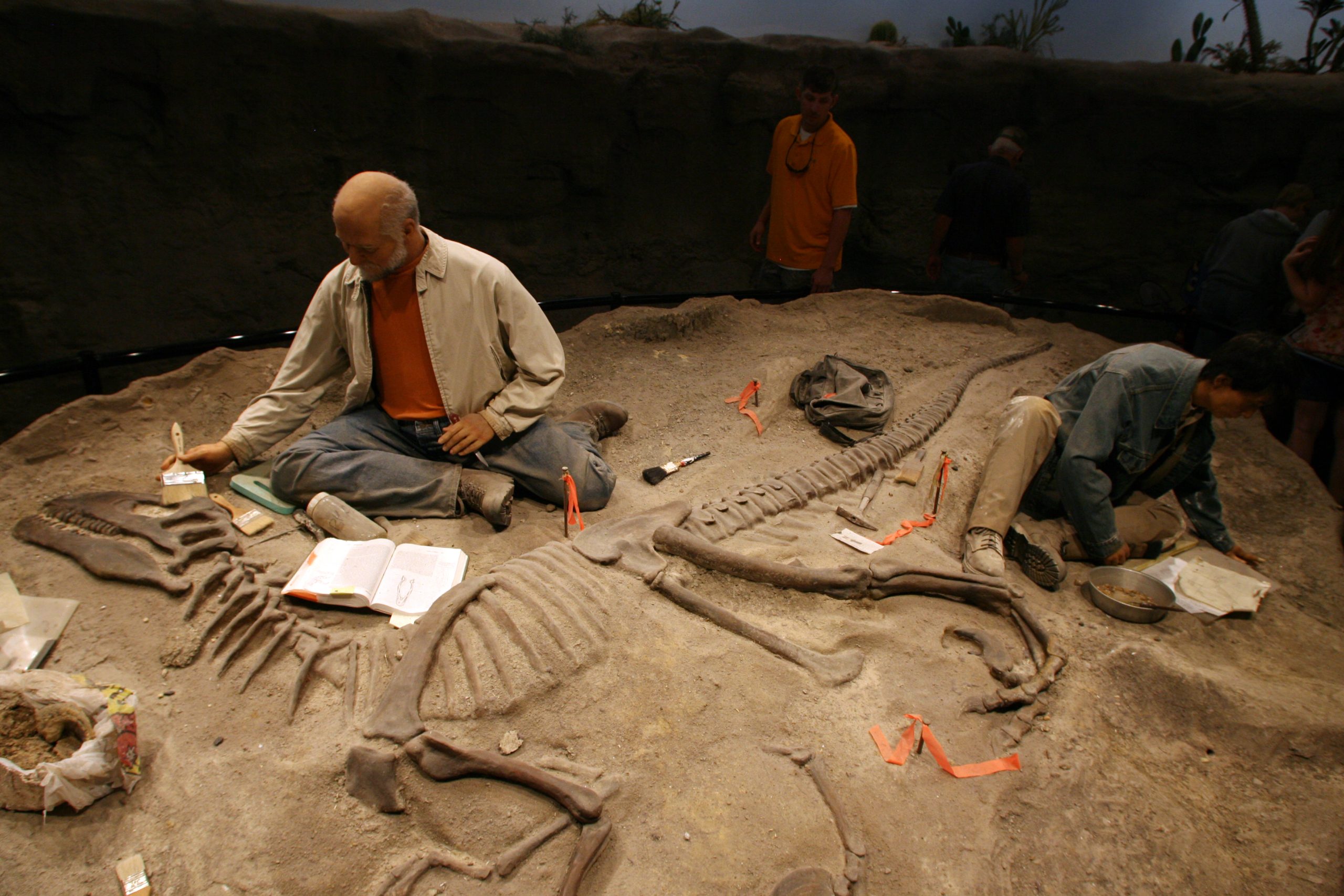 Image of paleontologists uncovering dinosaur fossils at a dig site.