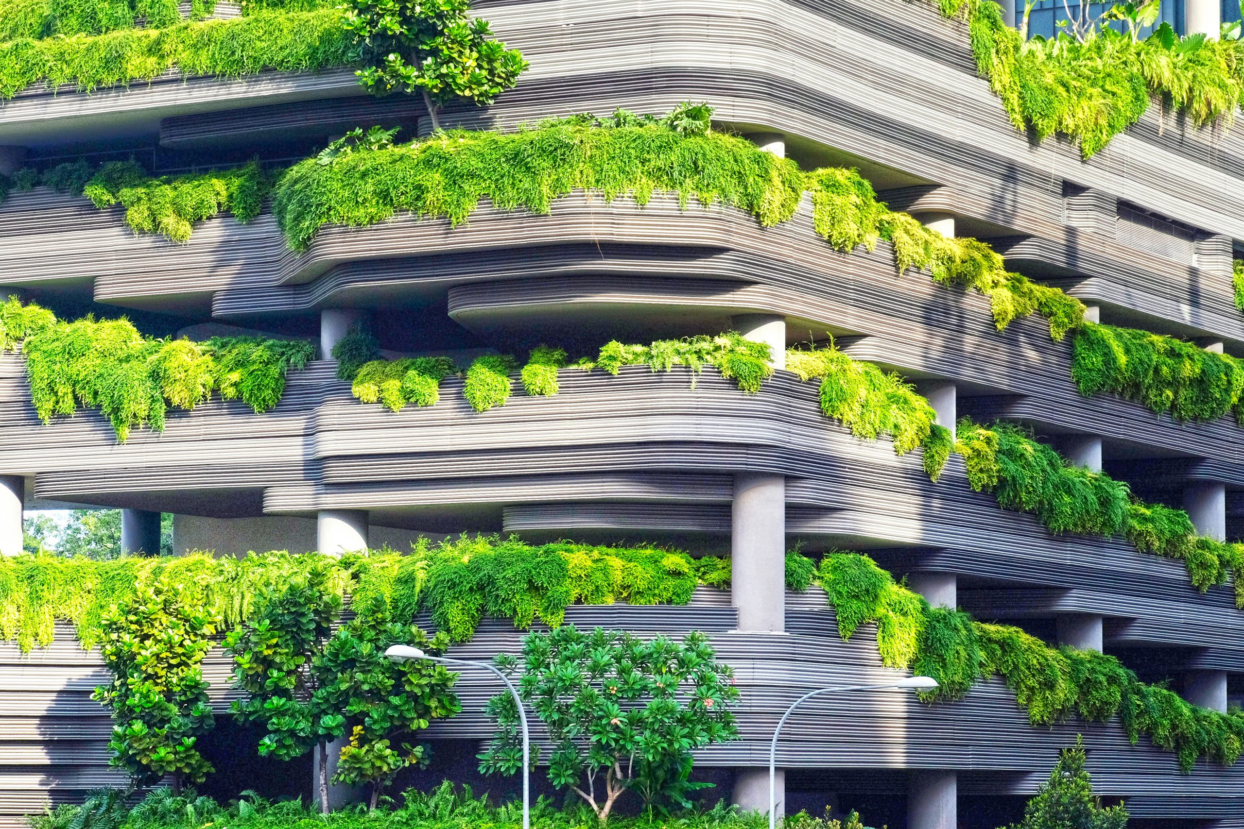 Image of a concrete building with trees and shrubs growing over the walls.