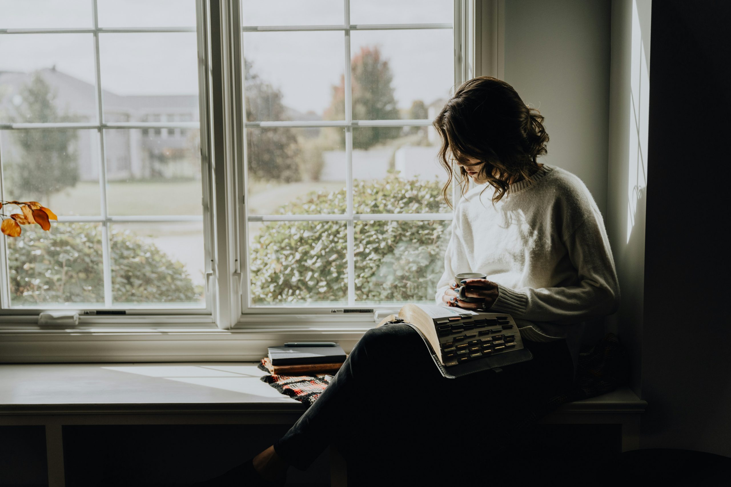 Image of a woman reading in front of a window.