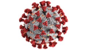 Figure showing the structure of the coronavirus SARS-CoV-2.
