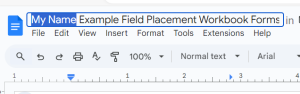 Google doc file name showing My Name highlighted to change title