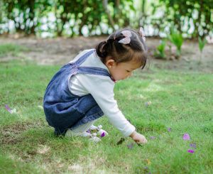 Toddler playing in the grass.