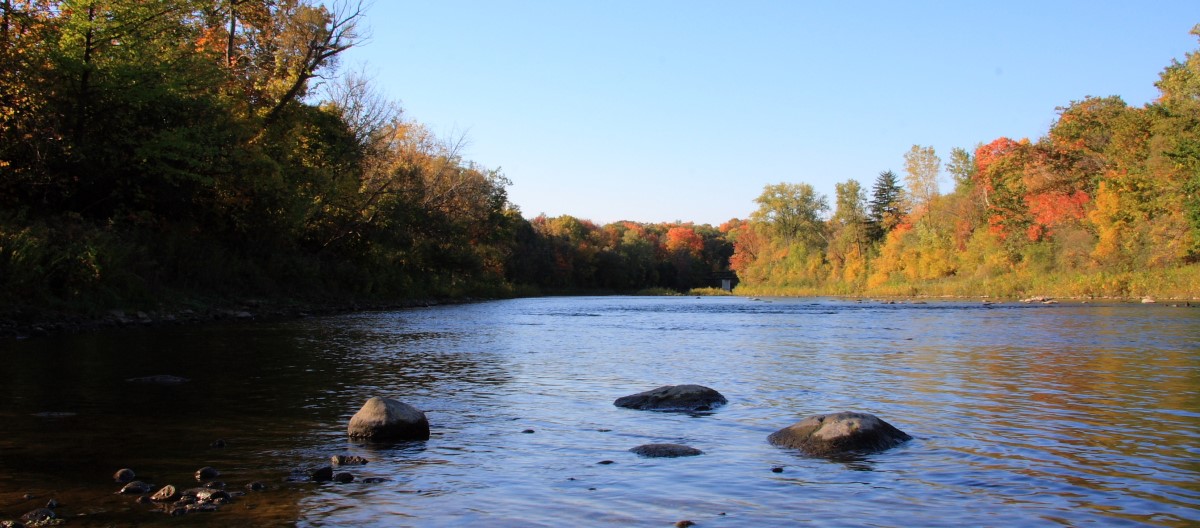 Photo of the Thames River with fall leaves