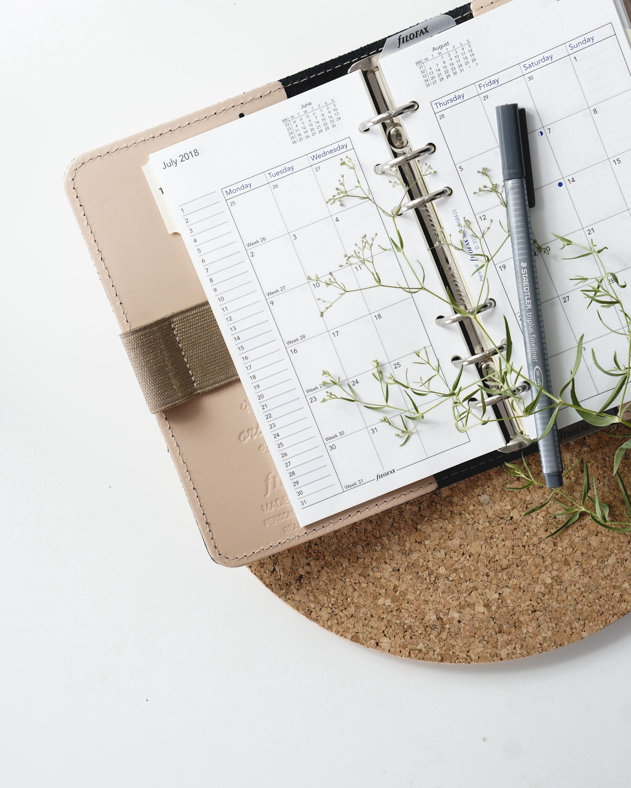 Photo of a Filofax planner and a pen.