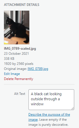 Details of a cat image added to the Media Library, including the field to add an alt text which reads "A black cat looking outside through a window"