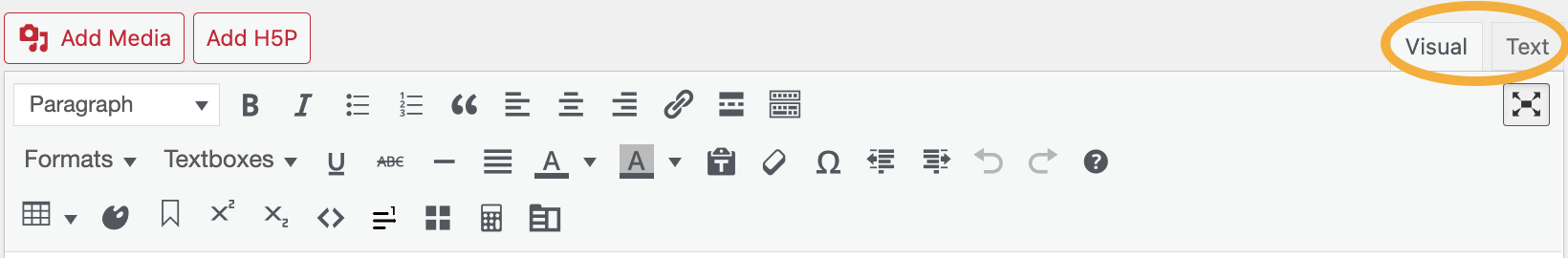 The options toolbar panel with the visual and text buttons highlighted in the top right corner