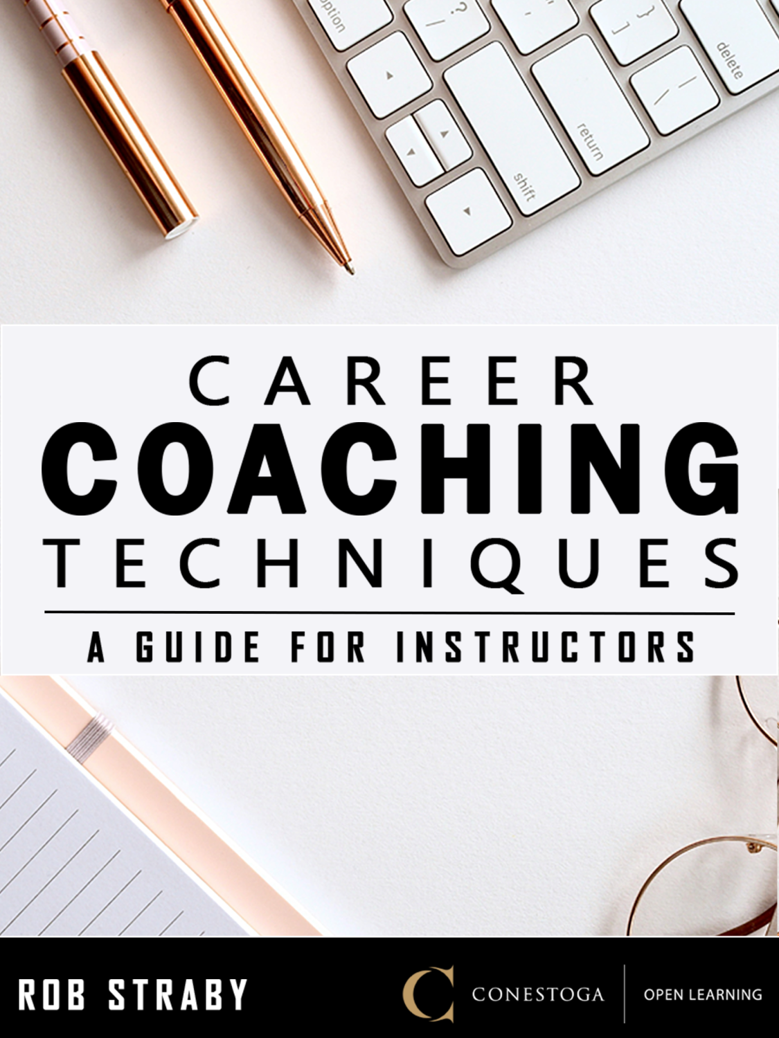 Cover image for Career Coaching Techniques: A Guide for Instructors