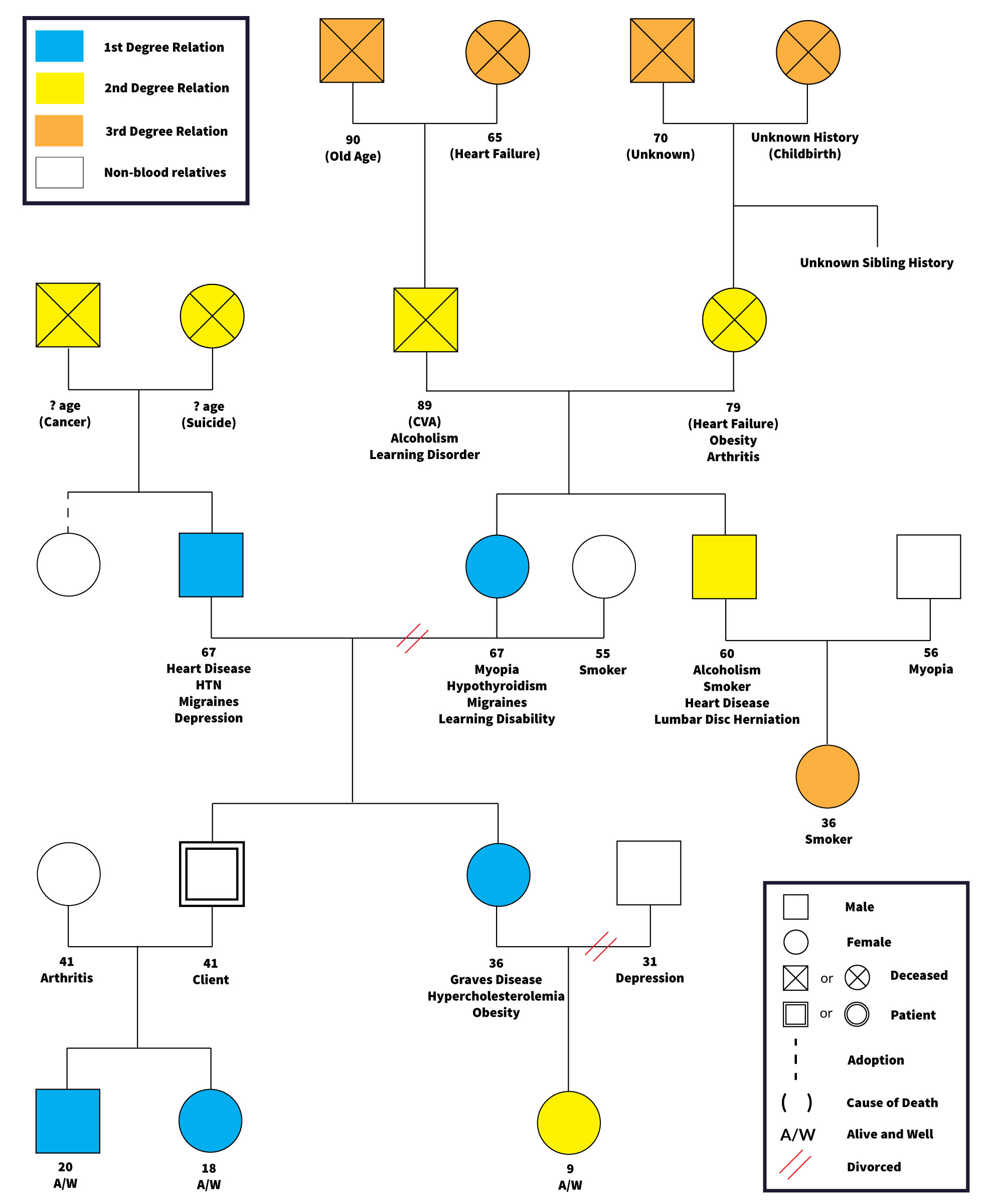 A genogram illustrating a 41 year old client and their 1st, 2nd, and 3rd degree relations.