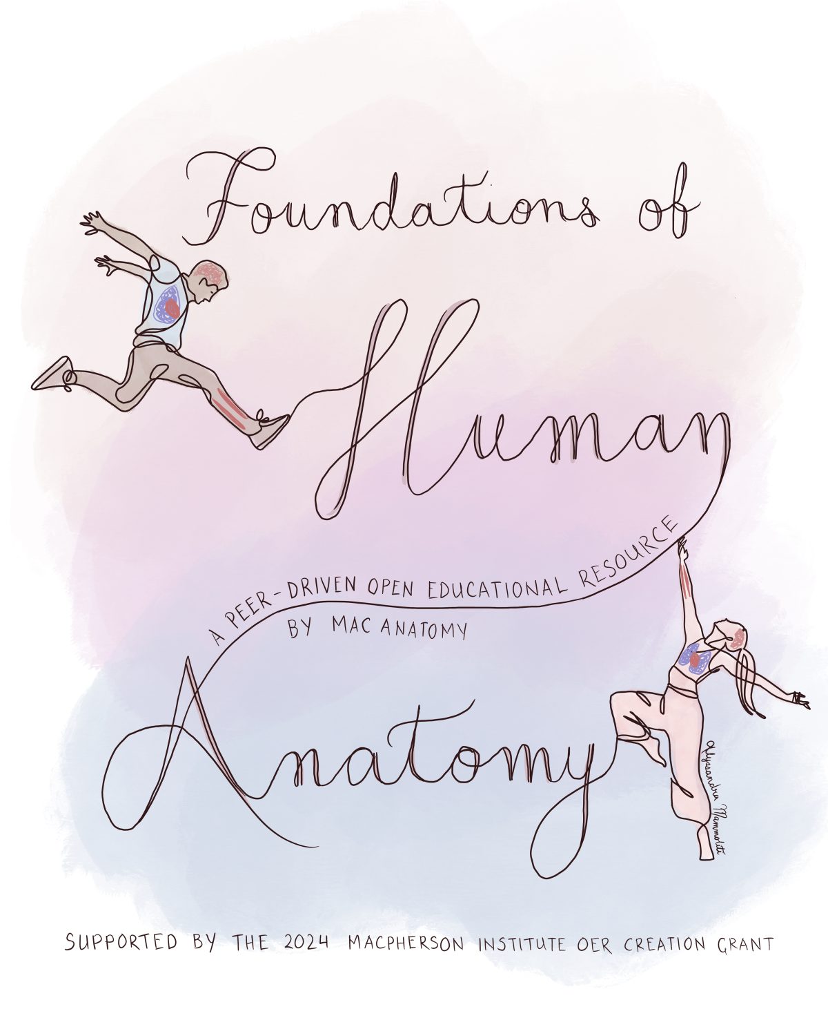 Cover image for Foundations of Human Anatomy - Macanatomy