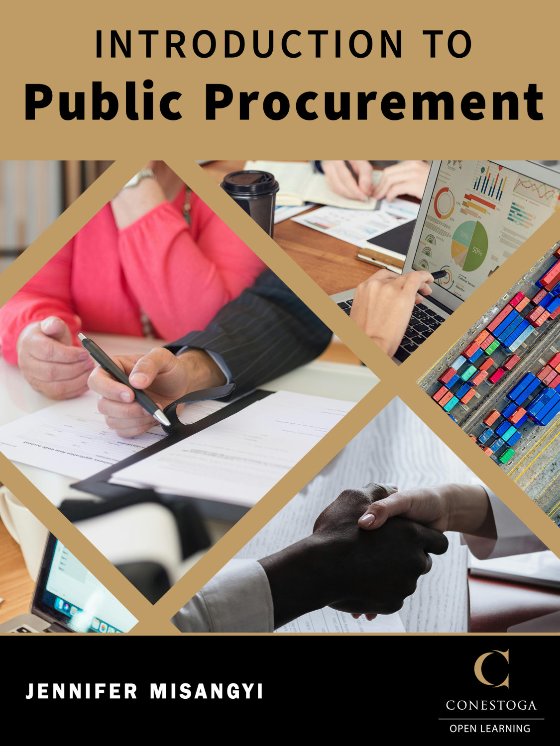 Cover image for Introduction to Public Procurement