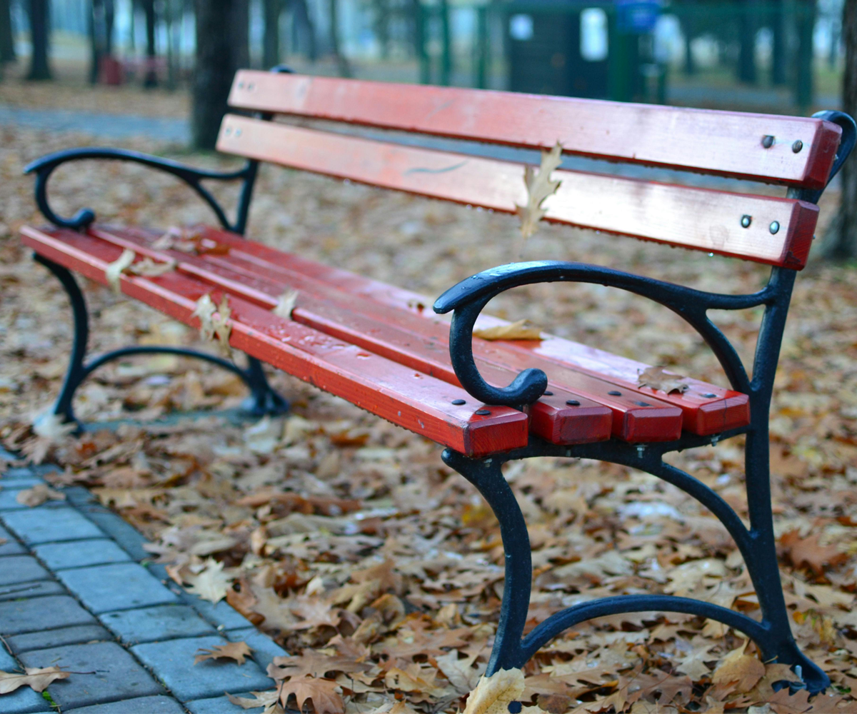 A wooden bench in a park.