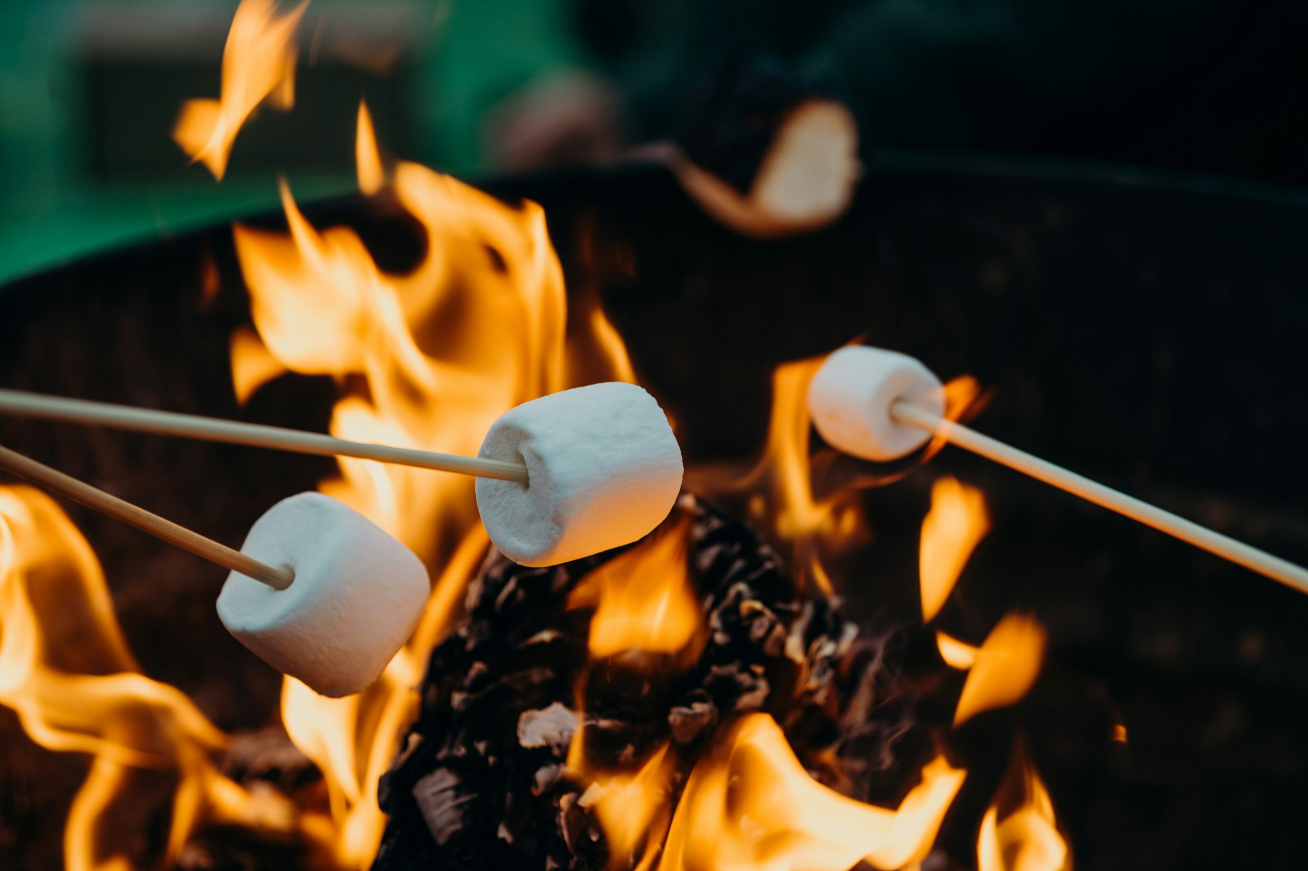 A close-up on marshmallows on sticks being roasted over a campfire.