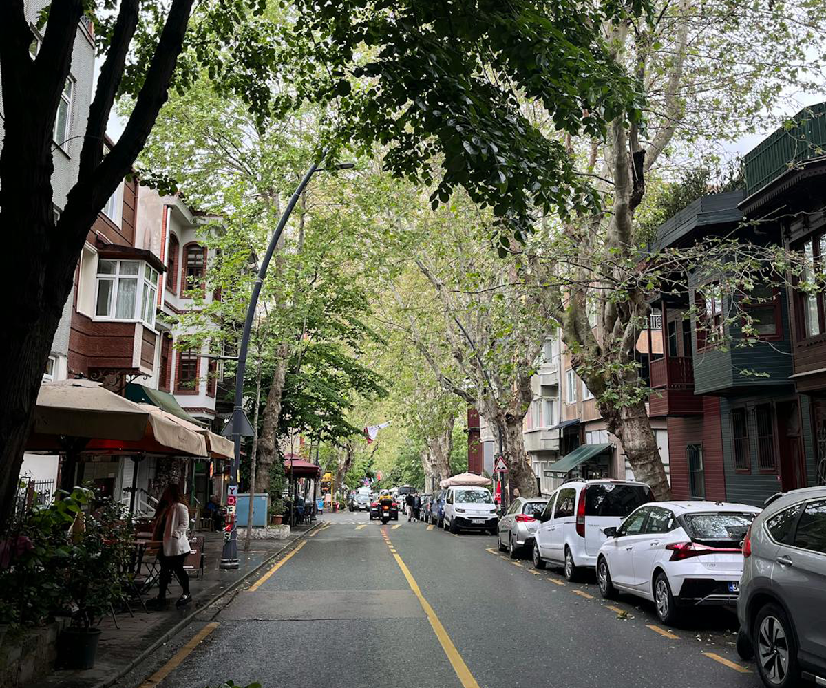 A residential neighbourhood street.
