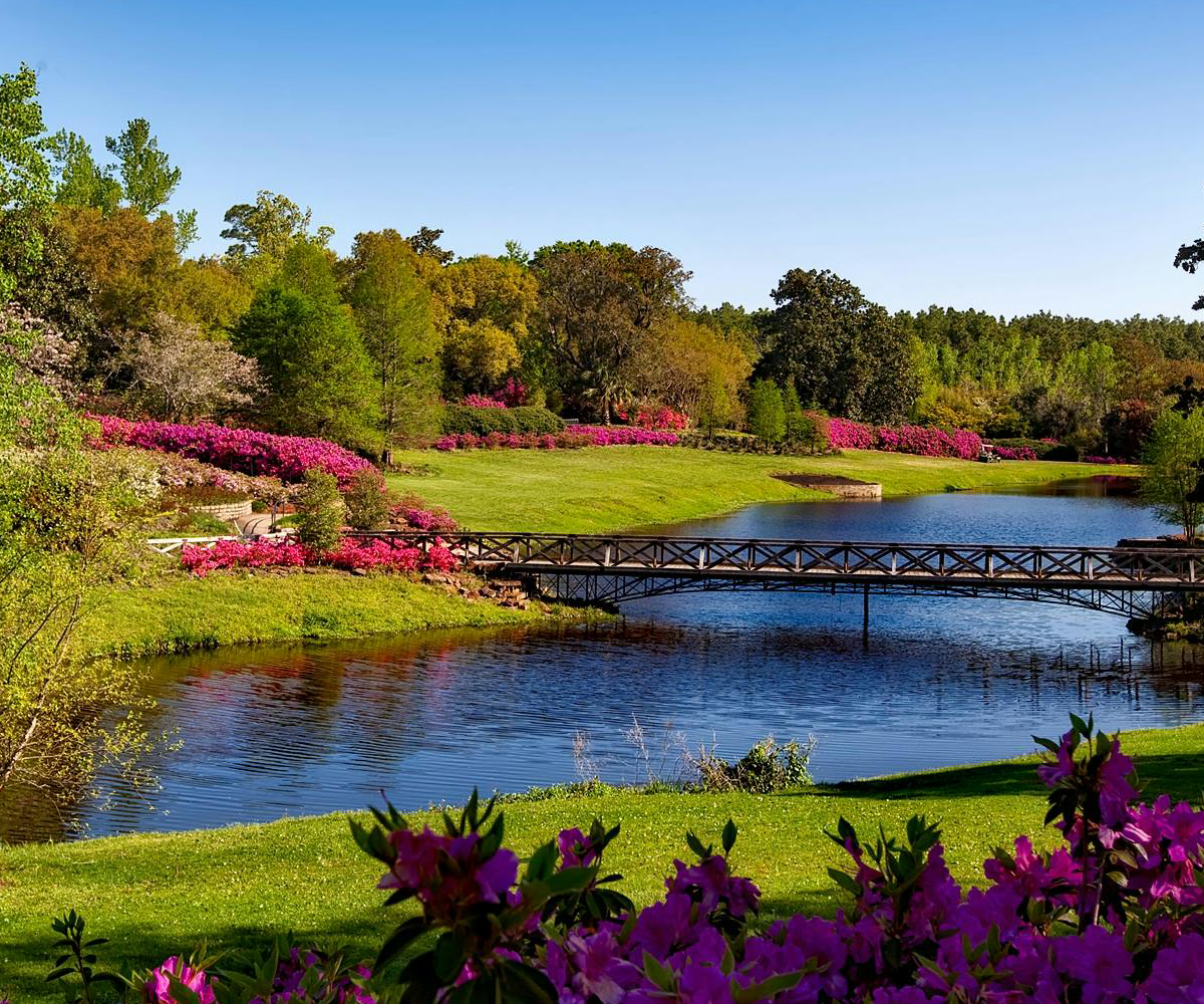 A small lake and bridge in a park.
