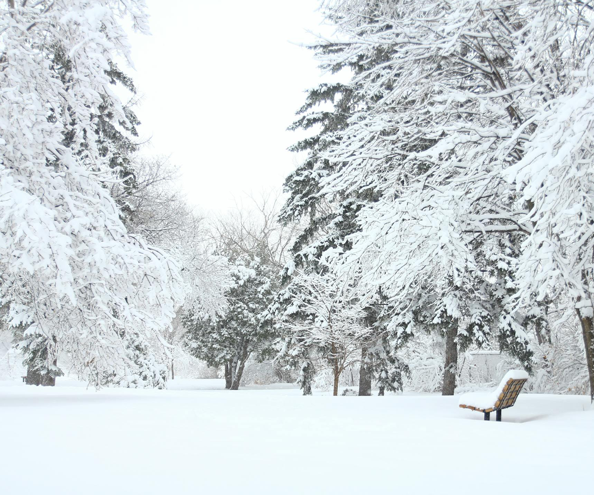 A snowy outdoor scene.