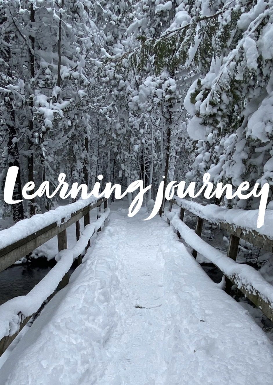 Cover image for J's Learning Journey