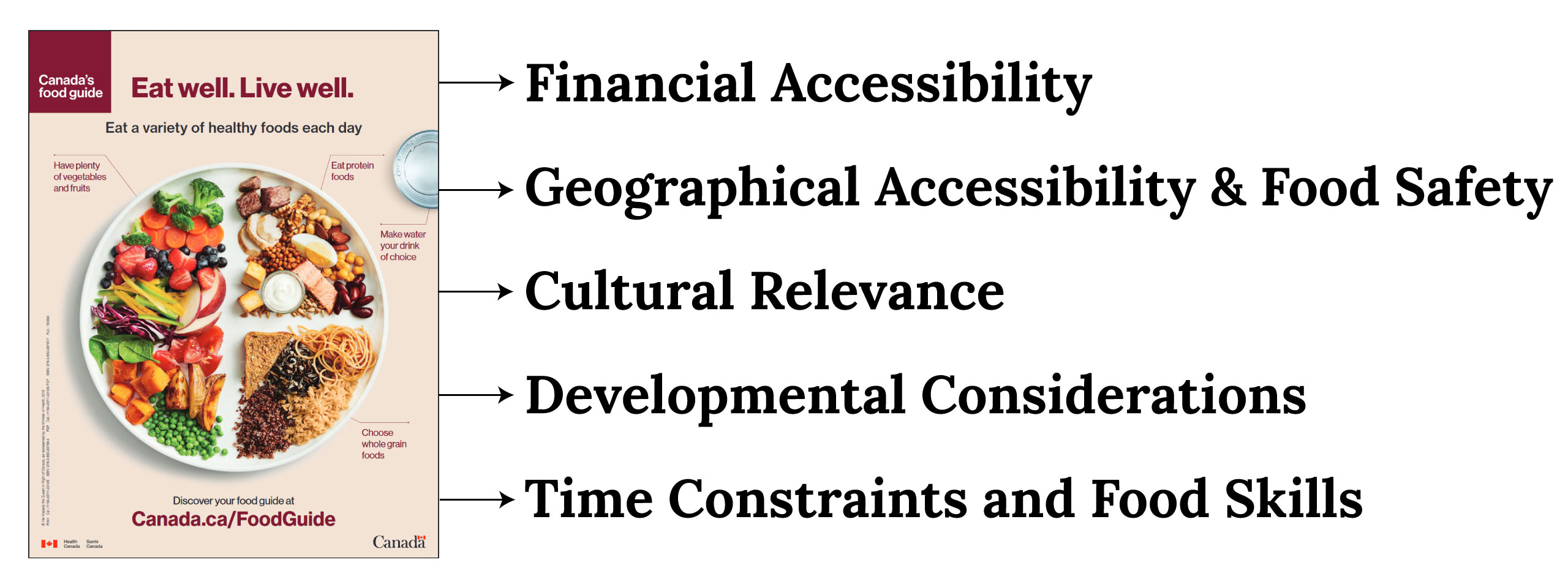 Common critiques emerging from the food guide, including financial accessibility, geographical accessibility and food safety, cultural relevance, developmental considerations, and time constraints and food skills