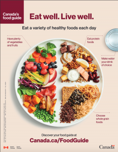 Canada’s Food Guidelines – Interpreting Canada’s 2019 Food Guide and ...