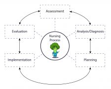 The Nursing Process – Interpreting Canada’s 2019 Food Guide and Food ...