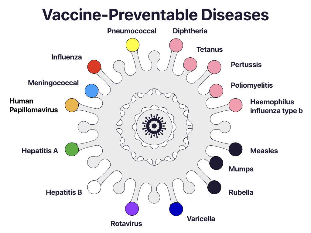 Drawing of a virus cell. Surrounding the virus cell are the names of the routine vaccine-preventable diseases. Beginning from the top of the cell and going clockwise are Diphtheria, Tetanus, Pertussis, Poliomyelitis, Haemophilus influenza type b, Measles, Mumps, Rubella, Varciella, Rotavirus, Hepatitis B, Hepatitis A, Human Papillomavirus, Meningococcal, influenza and Pneumococcal. Diseases protected by combination vaccines are colour coordinated.