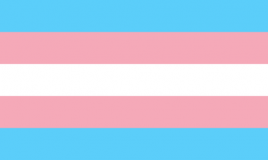 the trans pride flag includes the colours, blue, pink, and white, with the blue on the top and bottom, and the pink above and below the white stripe in the middle.