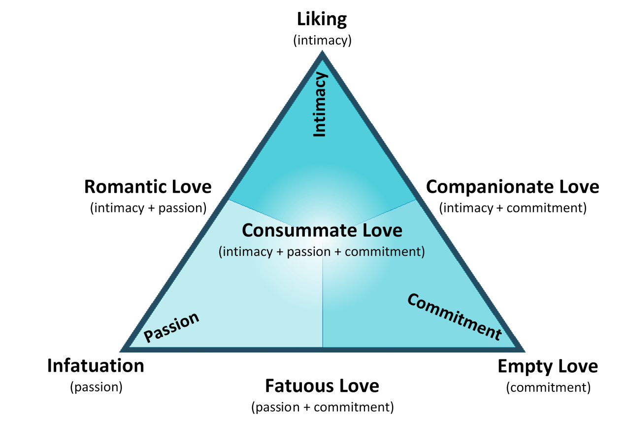 Triangle diagram depicting Sternberg’s Triarchic Theory of Love with intimacy, passion, and commitment in each corner, forming 7 types of love. Consummate love is in the centre, representing the combination of all three components.