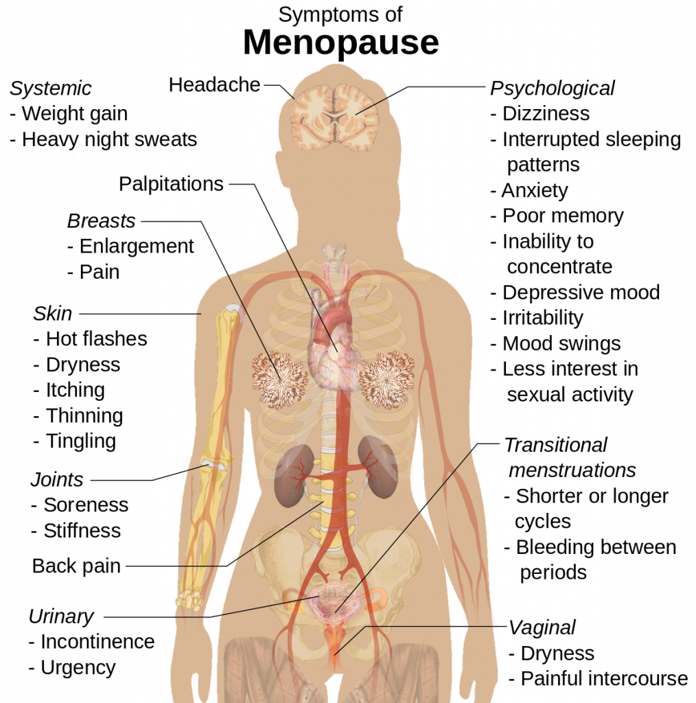 Diagram of a female body depicting body parts and relative symptoms of menopause.