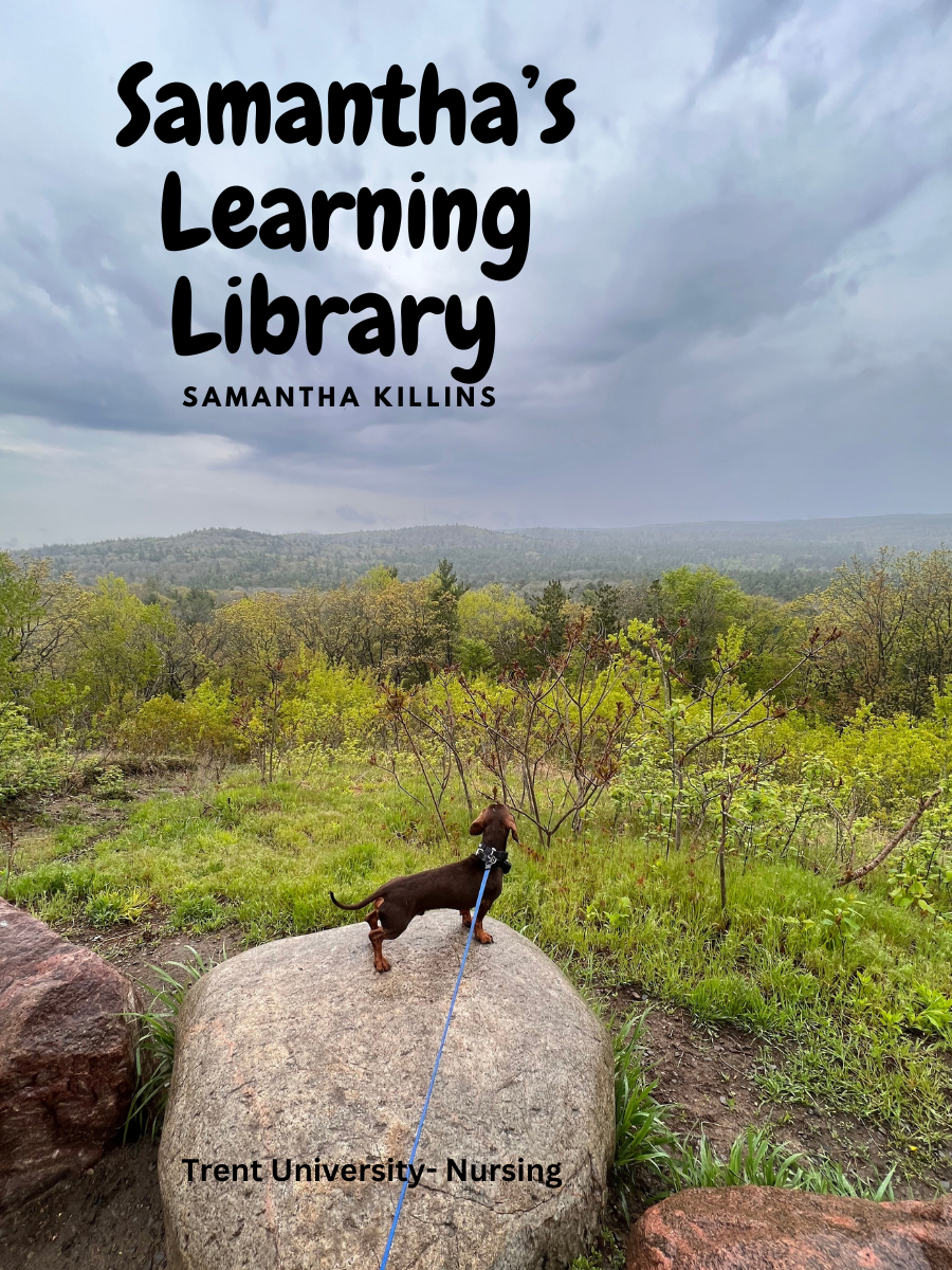 Cover image for Samantha's Learning Journey