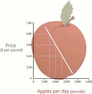 Apples per day showing the demand curve