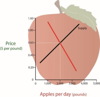 The Equilibrium Price is where the supply and demand curves intersect