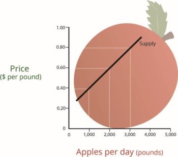 Apples per day showing the supply curve