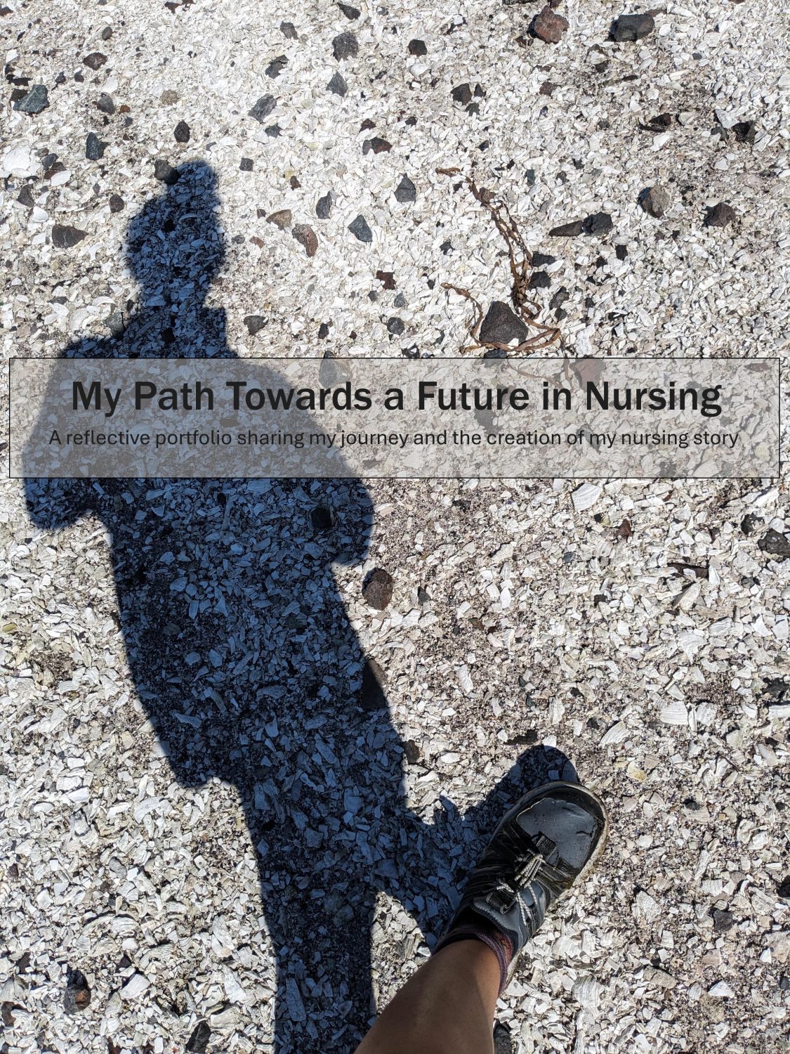 Cover image for Daniella's Learning Journey