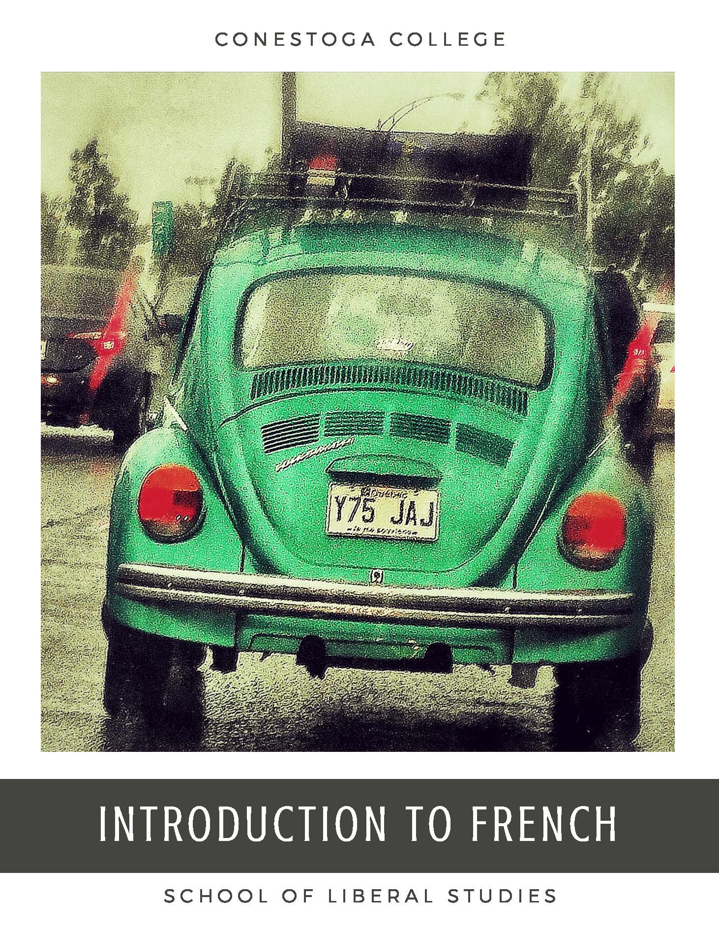 Cover image for Copy 2 of Introduction to French