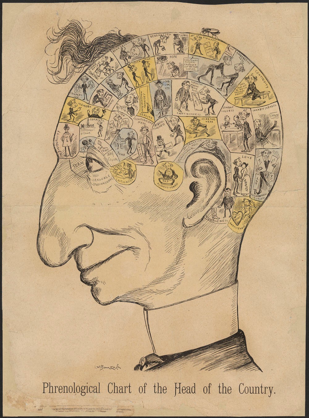 A cartoon head of a bald man segmented