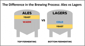 bottom fermenting beer