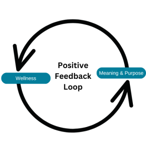 A diagram of a positive feedback loop showing the circular relationship between wellness and meaning and purpose.