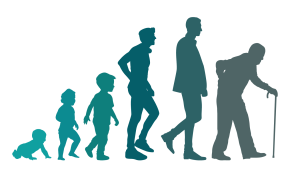 A graphic representing the progression of aging from a baby to an elderly man.