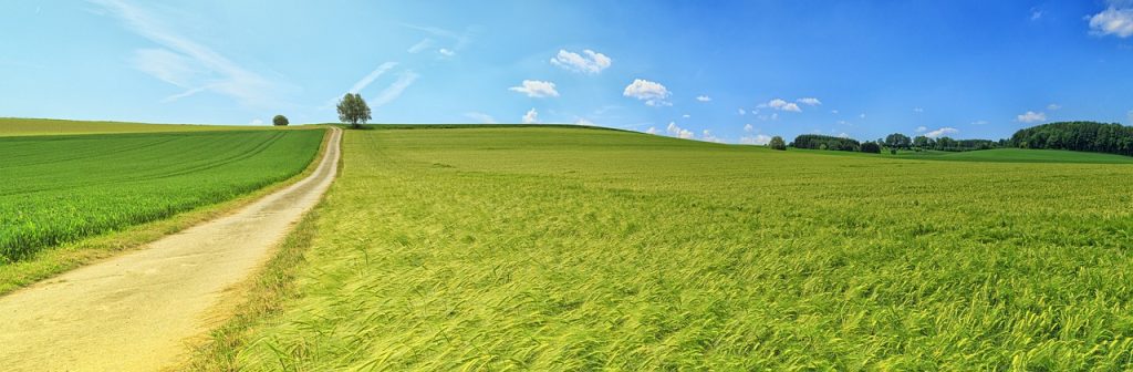 A beautiful landscape of blue sky and green fields.