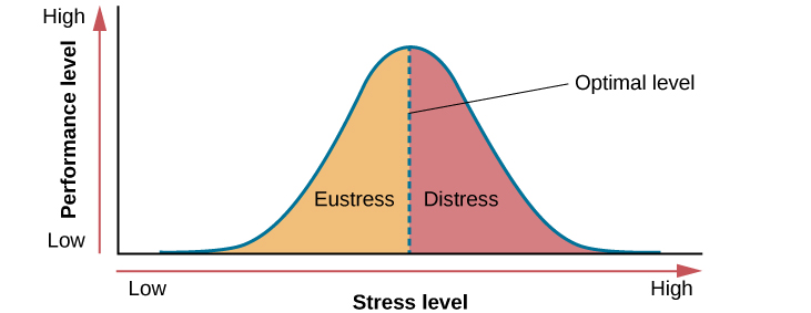 Stress versus performance graph.
