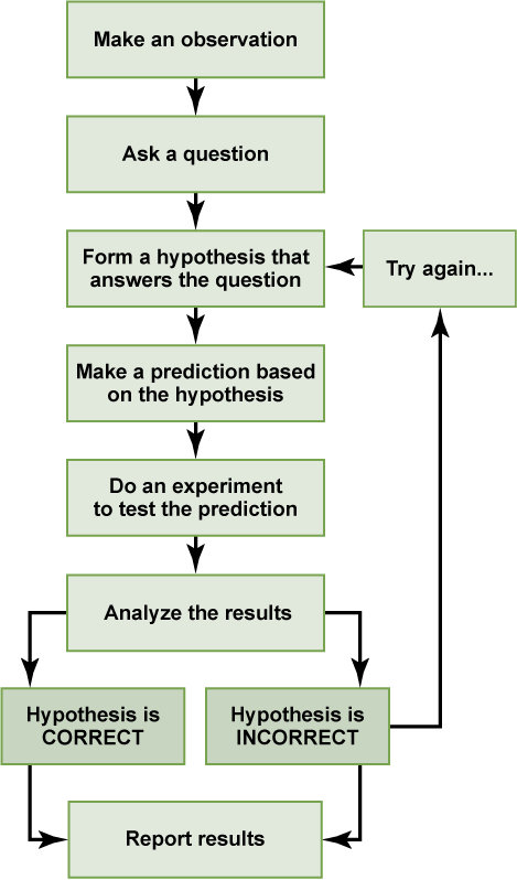 Flowchart of the traditional scientific process.