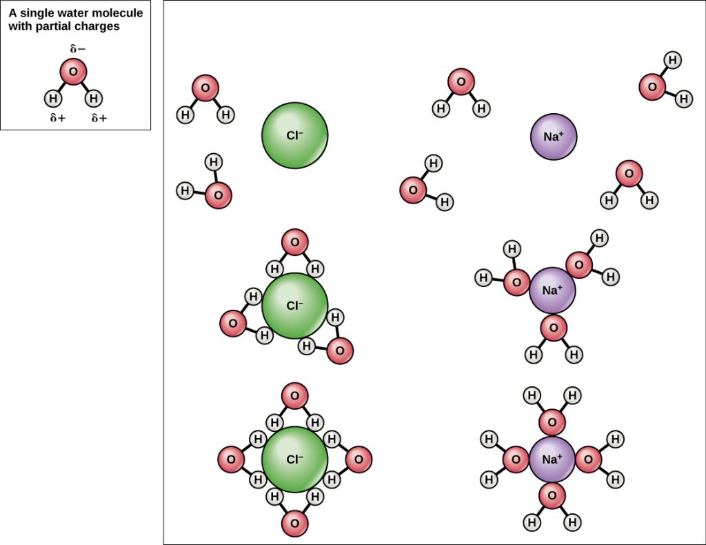 Molecular diagram of table salt (NACL) mixed in water (H2O).